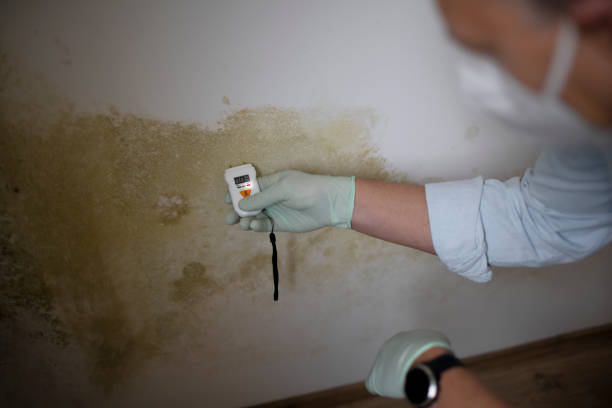 Certified Mold Removal in South Hooksett, NH